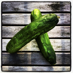 Mini cucumbers - HOHF000362