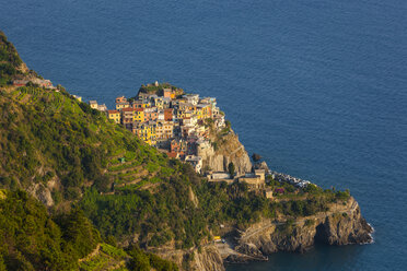 Italy, Liguria, Cinque Terre, View of fishing village Manarola - AMF001633