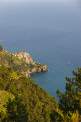 Italien, Ligurien, Cinque Terre, Blick auf das Fischerdorf Manarola - AMF001631