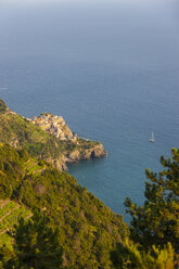 Italy, Liguria, Cinque Terre, View of fishing village Manarola - AMF001631