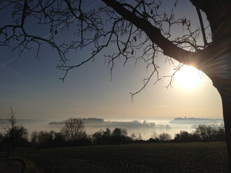 Insel Mainau im Morgennebel, Deutschland, Baden-Württemberg, Konstanz - JEDF000079