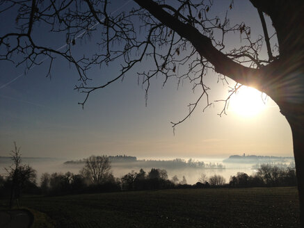 Mainau Island in morning fog, Germany, Baden-Wuerttemberg, Constance - JEDF000079