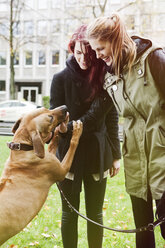 Zwei Frauen mit Hund - FEXF000058