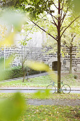 Germany, North Rhine-Westphalia, Cologne, racing bicycle leaning at tree in front of fortress wall - FEXF000067