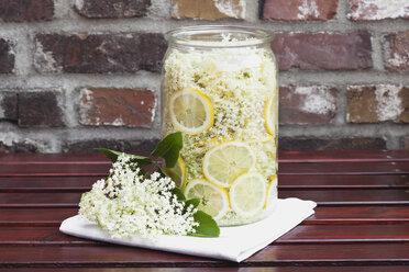 Weiße Holunderblüten und Zitrone in Glasschale, essbare Blüten, Europäischer Schwarzer Holunder (Sambucus nigra), Herstellung von Holundersirup - GWF002532