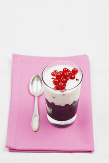 Dessert mit roten Johannisbeeren (Ribes rubrum) und mit Orangenschalen aromatisiertem Joghurt, Studioaufnahme - GWF002529