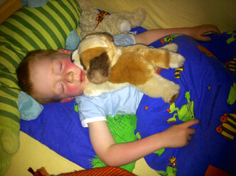 Boy sleeps with stuffed animals, Germany, Baden-Wuerttemberg, Constance - JEDF000101