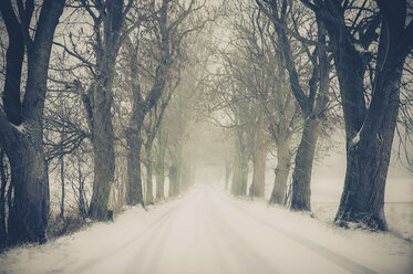 Germany, Mecklenburg-Western Pomerania, Ruegen, Snow storm - MJF000659