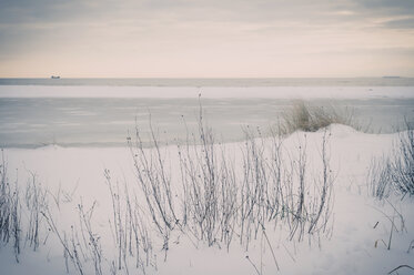 Deutschland, Mecklenburg-Vorpommern, Rügen, Ostsee im Winter - MJF000718