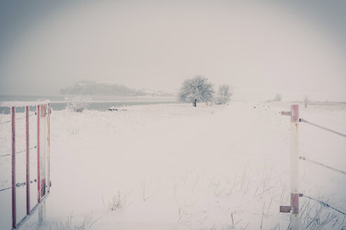 Deutschland, Mecklenburg Vorpommern, Rügen im Winter - MJF000616