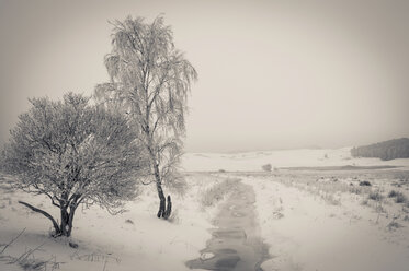 Germany, Mecklenburg-Western Pomerania, Ruegen in winter - MJF000586