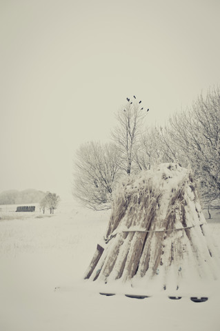 Germany, Mecklenburg-Western Pomerania, Ruegen in winter stock photo