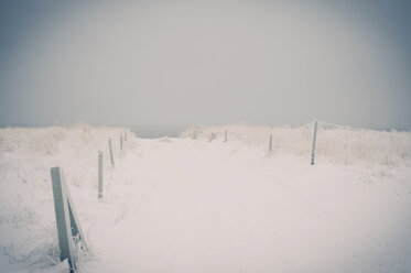 Germany, Mecklenburg-Western Pomerania, Ruegen in winter - MJF000588