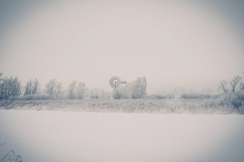 Deutschland, Mecklenburg Vorpommern, Rügen im Winter - MJF000589