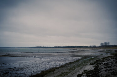 Deutschland, Mecklenburg-Vorpommern, Rügen, Ostsee im Winter - MJF000565