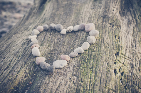 Steine bilden ein Herz am Baumstamm, lizenzfreies Stockfoto