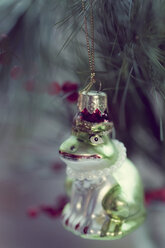 Frosch-Figur im Weihnachtsbaum - MJF000607