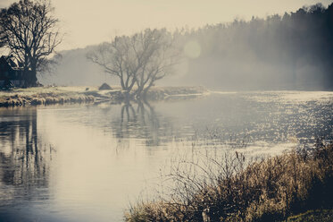 Deutschland, Sachsen, Fluss im Winter - MJF000650