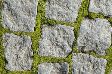 Germany, Baden-Wuerttemberg, Constance, granite cobblestones with moss between the gaps, close-up - ELF000813