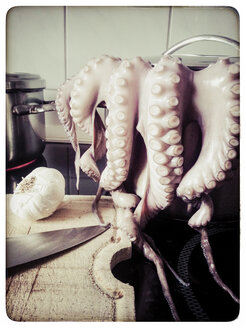 Studio, Kitchen scene, octopus in the pot - KRPF000162