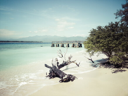 Indonesien, Gili-Inseln, Strand mit Steg und Baumstamm - KRPF000114