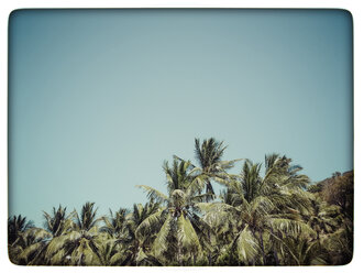 Indonesien, Lombok, Palmen am Strand - KRPF000112