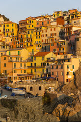 Italy, Liguria, Cinque Terre, Manarola - AMF001694