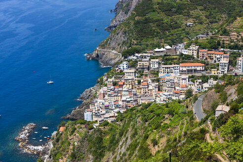 Italy, Liguria, Cinque Terre, Riomaggiore - AMF001715