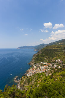 Italien, Ligurien, Cinque Terre, Riomaggiore - AM001716