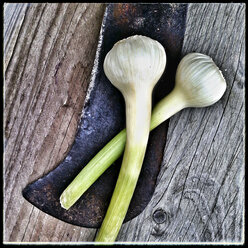 fresh garlic, old knife, wooden background, studio - CSF020657