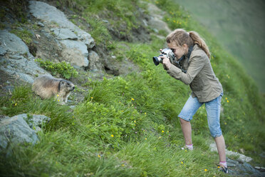 Austria, Carinthia, Kaiser-Franz-Josefs-Hoehe, girl photographing alpine marmot (marmota marmota) - PAF000282