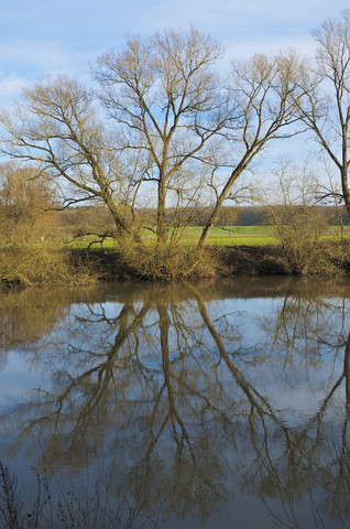 Deutschland, Hessen, Limburg, Baum und Wasserspiegelungen an der Lahn, lizenzfreies Stockfoto