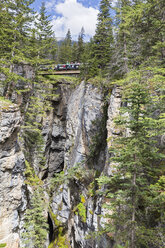 Kanada, Alberta, Rocky Mountains, Jasper National Park, Blick auf die Fußgängerbrücke am Maligne Canyon - FOF005622