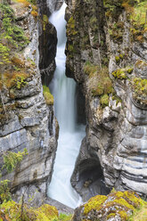 Kanada, Alberta, Rocky Mountains, Jasper National Park, Blick auf Maligne Canyon und Maligne River - FOF005618