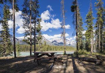 Canada, Alberta, Jasper National Park, Banff National Park, Icefields Parkway, picnic area at Athabasca River - FOF005654