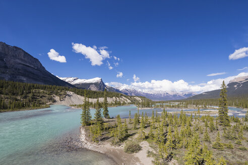 Kanada, Alberta, Jasper National Park, Banff National Park, Icefields Parkway, Saskatchewan River - FOF005656