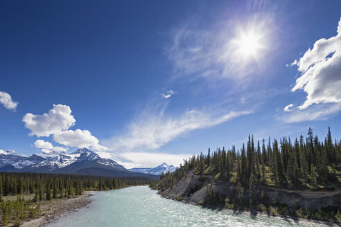 Kanada, Alberta, Jasper National Park, Banff National Park, Icefields Parkway, Saskatchewan River - FOF005657