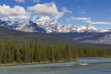 Canada, Alberta, Jasper National Park, Banff National Park, Icefields Parkway, Athabasca River - FO005660