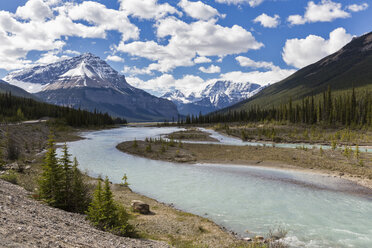Kanada, Alberta, Jasper National Park, Banff National Park, Icefields Parkway, Berg Tangle Ridge am Athabasca River - FO005667