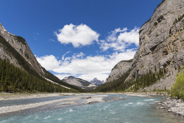 Kanada, Alberta, Jasper National Park, Banff National Park, Icefields Parkway, Bow River - FOF005668
