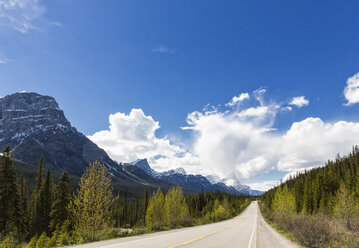 Canada, Alberta, Jasper National Park, Banff National Park, Icefields Parkway - FOF005669