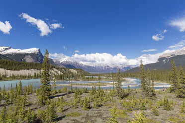 Kanada, Alberta, Jasper National Park, Banff National Park, Icefields Parkway, Saskatchewan River - FOF005670