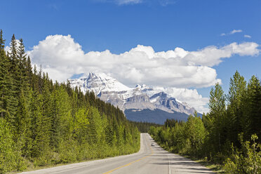 Canada, Alberta, Jasper National Park, Banff National Park, Icefields Parkway, Mount Wilson - FO005671