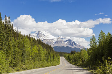 Kanada, Alberta, Jasper National Park, Banff National Park, Icefields Parkway, Mount Wilson - FO005671