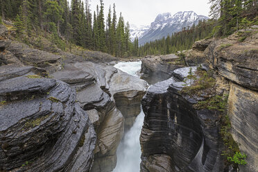 Kanada, Alberta, Banff National Park, Icefields Parkway, , Mistaya Canyon, Mistaya River - FOF005682