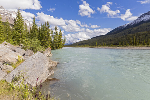 Kanada, Alberta, Jasper National Park, Banff National Park, Icefields Parkway, Blick auf den Fluss - FOF005711