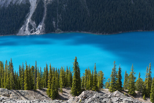 Kanada, Alberta, Banff-Nationalpark, Peyto-See - FOF005721