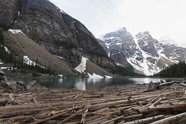 Kanada, Alberta, Banff National Park, Totholz am Moraine Lake - FO005768