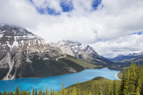 Kanada, Alberta, Banff National Park, Peyto Lake vom Bow Summit aus gesehen - FOF005785