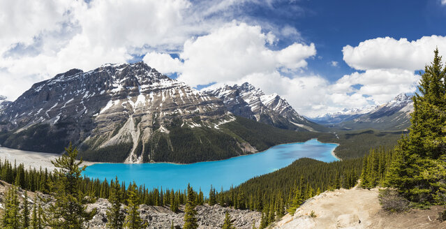 Kanada, Alberta, Rocky Mountains, Jasper National Park, Banff National Park, Peyto Lake - FOF005633